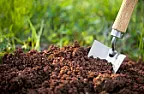 Washington Hawthorn  |  There are different soils types and different species of plants havedifferent...