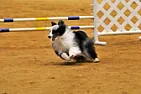 Tough day  | &laquo; previous thread
