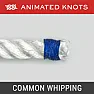Loose ring on light pull-cord  | &laquo; previous thread
