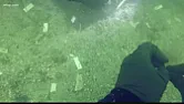 Gulf of Mexico 7,000 years ago was about 30 feet lower  | &laquo; previous thread