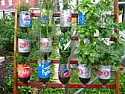 Wall Garden  | &laquo; previous thread