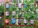 Wall Garden 