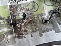 Washing machine failure: brushes?  |  W/m (Bosch Exxcel 1200) failed to turn today.  I hoped it was just a  failed...