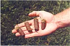 holes in lawn  | next thread &raquo;