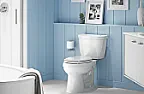 Replacement toilet  |  My Toto flushes fine but looking at the flapper it has drain on it and  think it...