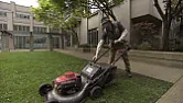 lawn mower recommendations  |  I need a new lawn mower.  Consumer Reports says Toro is a better option than...