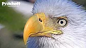 Re: [OT] Stuck Indoors?  | &laquo; previous thread