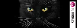 Inkjet black ink.  |  There may be a difference between inkjet printing (ultrasonically squirt ink at...