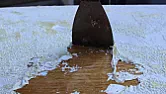 Stripping varnish solid pine | &laquo; previous thread