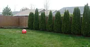 lots of compost questions  |  Congrats. Sounds like a nice place. =)They're fine. crush them up as much as...