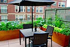 New Tomatoes Seedlings |  Grow lights and shop lights are two separate types of lights. I don't have...