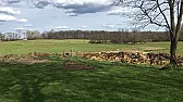 Manure Boundary  | next thread &raquo;