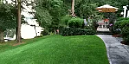 No-mow, easy-grow grass?  | ...