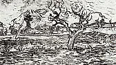 Garden myths [was: overhand or underhand]  | next thread &raquo;