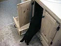 Anybody build their own bathroom vanity? |  I am looking to build a vanity for my bathroom and was looking for ideas. ...