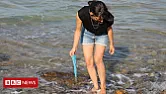 Paros - the Greek paradise island that wants to ditch plastic  |  Paros - the Greek paradise island that wants to ditch plastic By Jessica...