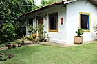 I have hedges that I need to kill | &laquo; previous thread