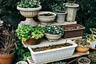 shredded paper for composting |  For security reasons, I have a fair amount of paper which getsshredded. This is...