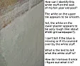 What is this white scratchy stuff on the sides and bottom of my pool?  |  Yuck. Yes. Mine was actually whitish blue after the $150 chemical treatment ......