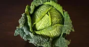 Cabbage Foundation?  | next thread &raquo;