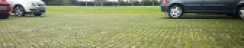 Grass reinforcement mesh  | &laquo; previous thread