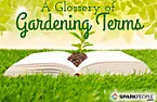How to get confidence with gardening?  |  Gardening does not require an advanced degree, even though it may help.Most...