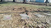 OT MoleVille!  |  https://i.postimg.cc/RhpQj90h/Mole-Ville.jpg I have pet Moles! I keep them...