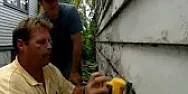 How easily does chopped ivy grow?  | &laquo; previous thread
