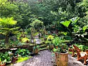 Wrong gas in lawn mower | &laquo; previous thread