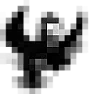 Crows | &laquo; previous thread