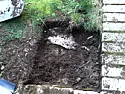 New to Gardening...  |  Sounds like a spot where an above ground pool was installed, not agarden......