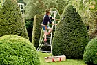 Ladders  |  Having moved into the previously mentioned barn conversion, I now find my step...