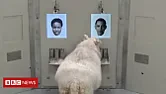 One for the ARW Training Manual for Apprentices  |  Even the sheep get in on it....