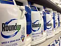 Glyphosate study concludes it's safe.  | next thread &raquo;
