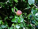Bit of help required  |  Hi there,I was wondering if any of you folks could help us identify a...
