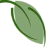 Tree recommendation? (maple?) | &laquo; previous thread