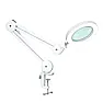 Recommend a magnifying lamp please.  | &laquo; previous thread