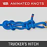 Knot Question  |  Hi all  I am trying to encourage an apple tree in a certain direction by ...