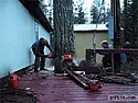 pretty sure he did not care if he got it wrong  | &laquo; previous thread