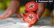 NYT Article  on apples |  http://www.nytimes.com/2007/11/21/dining/21curi.html?_r=1&8dpc&oref=sloginI...