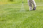 Help me get a lawn |  I will admit to reading not all of the replies.You CAN NOT use crab grass...