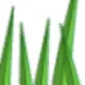 Lawn Weed Indentification and Control | next thread &raquo;