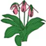 Bird friendly planting | next thread &raquo;