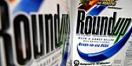 How do  you kill weeds in cement cracks?  |  ing more chemicals into the environment. It works by being absorbed into pl ant...