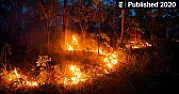 Reducing Fire, and Cutting Carbon Emissions, the Aboriginal Way  |  Reducing Fire, and Cutting Carbon Emissions, the Aboriginal Way As blazes rage...