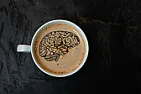 OT.   Too Much Coffee Shrinks Brain  | next thread &raquo;