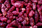 A mystery of the botanists among us | &laquo; previous thread