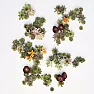 A Gardening Project  |  inage and watering might be a design factor ... Yeah, I had made a few items,...