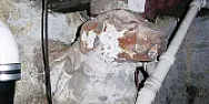 Home Inspection Nightmares | &laquo; previous thread