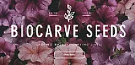 Tips for flower seeds & vegetable seeds  |  Growing an herb garden right from scratch can be very satisfying. Youcan prepare...
